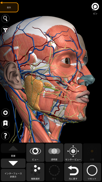 解剖学 - 3Dアトラスのおすすめ画像10