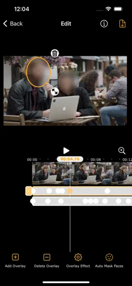 Game screenshot FaceBlur Video hack