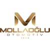 Mollaoglu icon