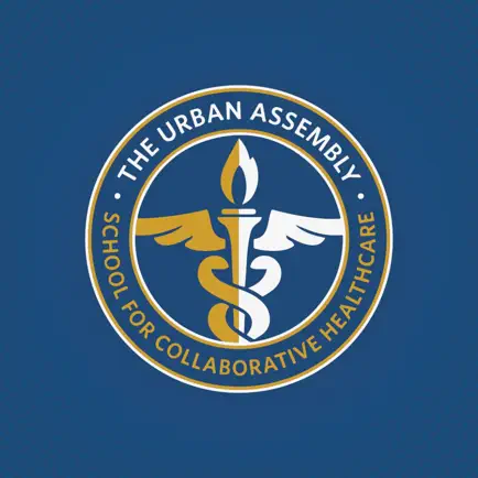 The Urban Assembly School Cheats