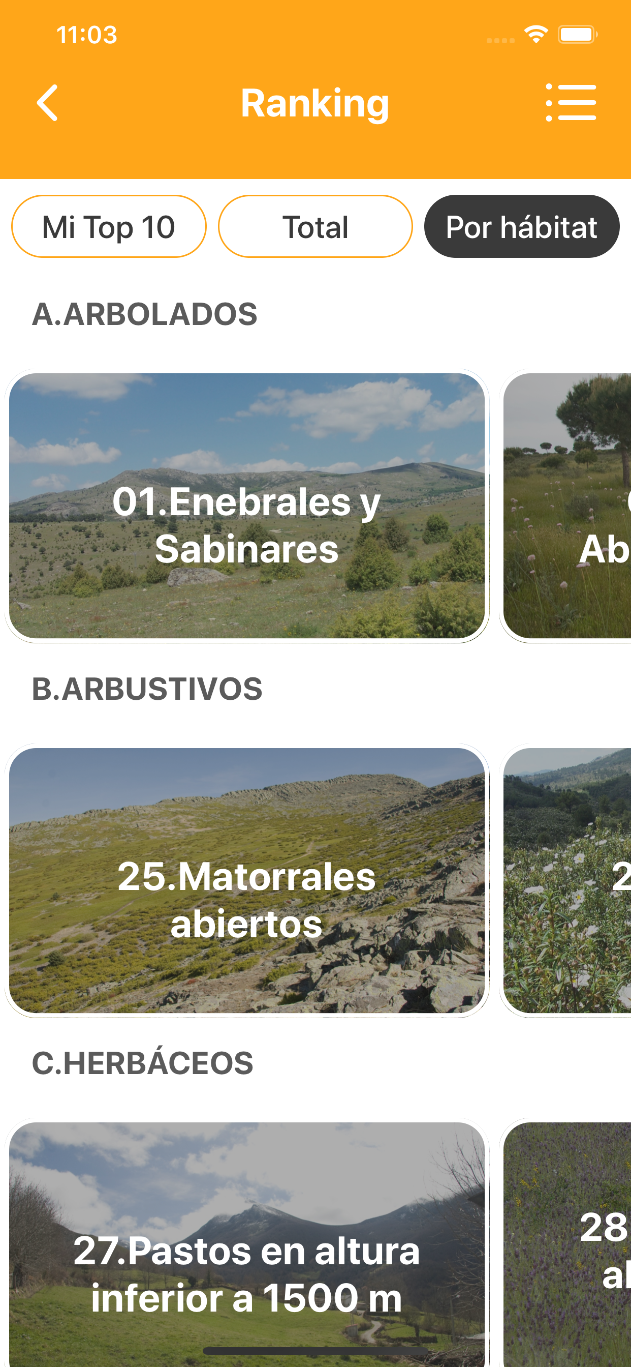 Avefy - SEOBirdlife