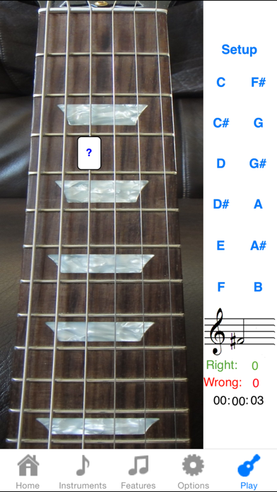 Electric Guitar Fretboard Lite