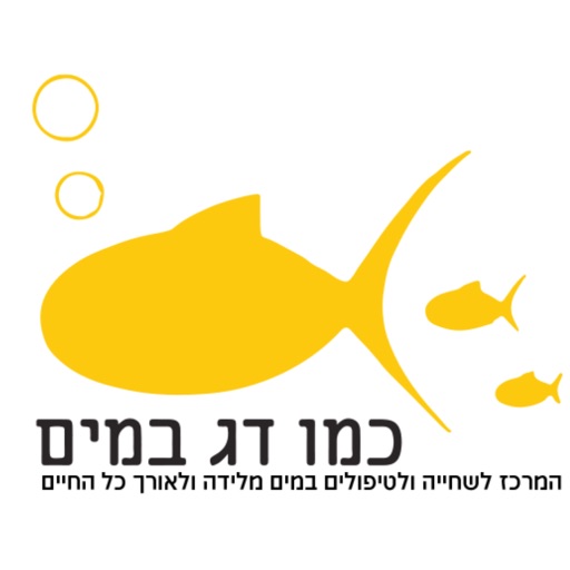 כמו דג במים