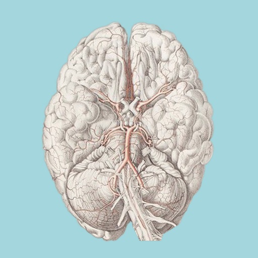 Cerebrovascular & Stroke: WTD - AppWisp.com
