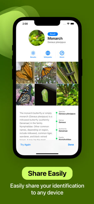 Bug Identifier Screenshot