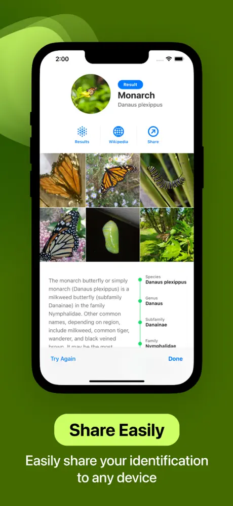 Insect Identifier 昆虫识别器应用截图