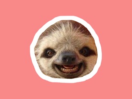 Sloths