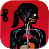 Der menschliche Körper