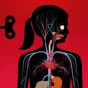 The Human Body by Tinybop app download