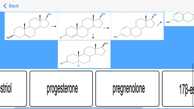 Estrogen Hormones Tutor screenshot-4