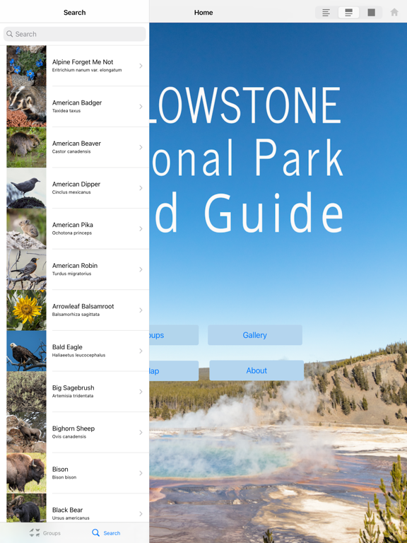Screenshot #6 pour Yellowstone NP Field Guide