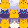 Slidey Cat : Puzzle Game icon