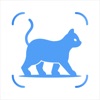 Cat Breed Identifier: Pet Scan icon