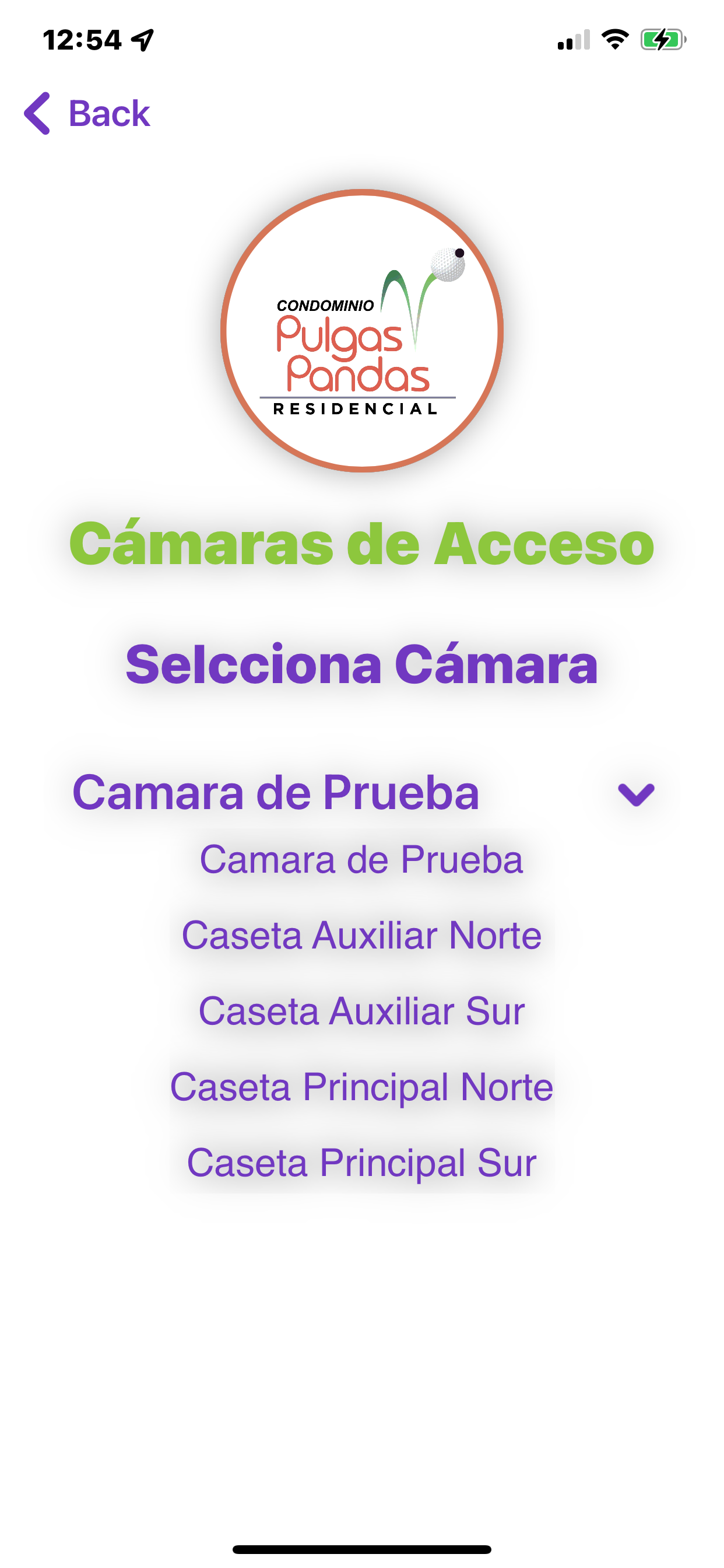 Pulgas Pandas screenshot 4