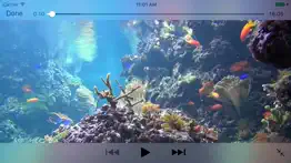 reef aquarium 2d/3d iphone screenshot 1