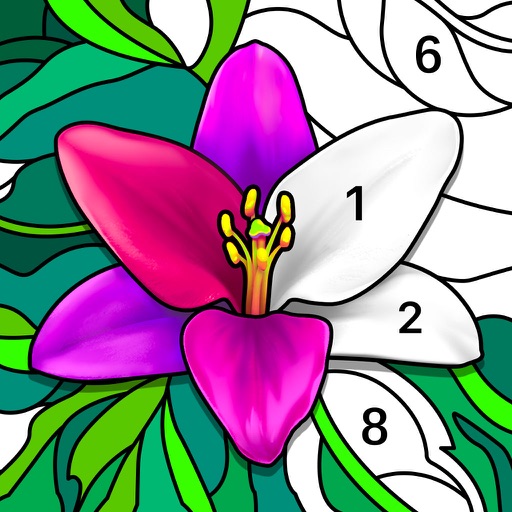 Daily Coloring by Number Icon