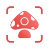 Picture Mushroom: Fungi finder icon