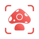 Download Picture Mushroom: Fungi finder app