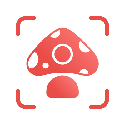 Picture Mushroom - гриб