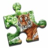 Tiger Love Puzzle icon