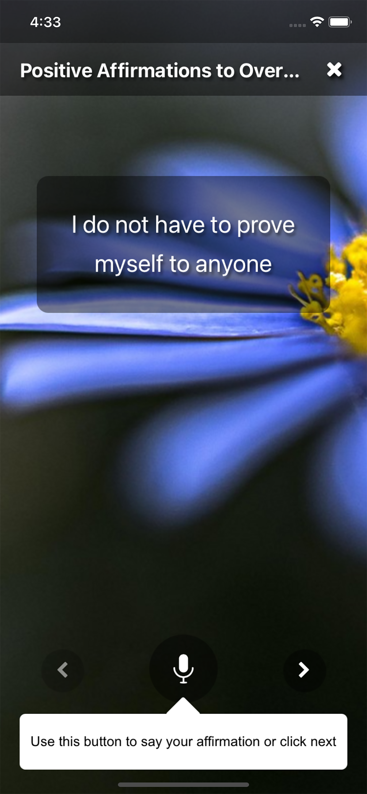 Daily Gratitude & Affirmations