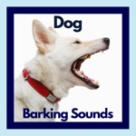 Download Dog Barking Sounds app