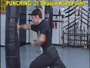 shaolin kung fu fundamental ipad images 4