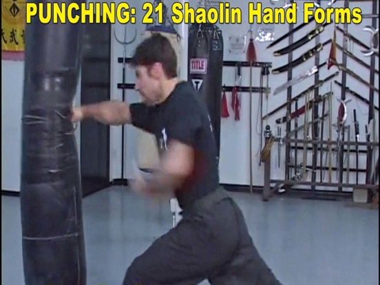 Screenshot #4 for Shaolin Kung Fu Fundamental