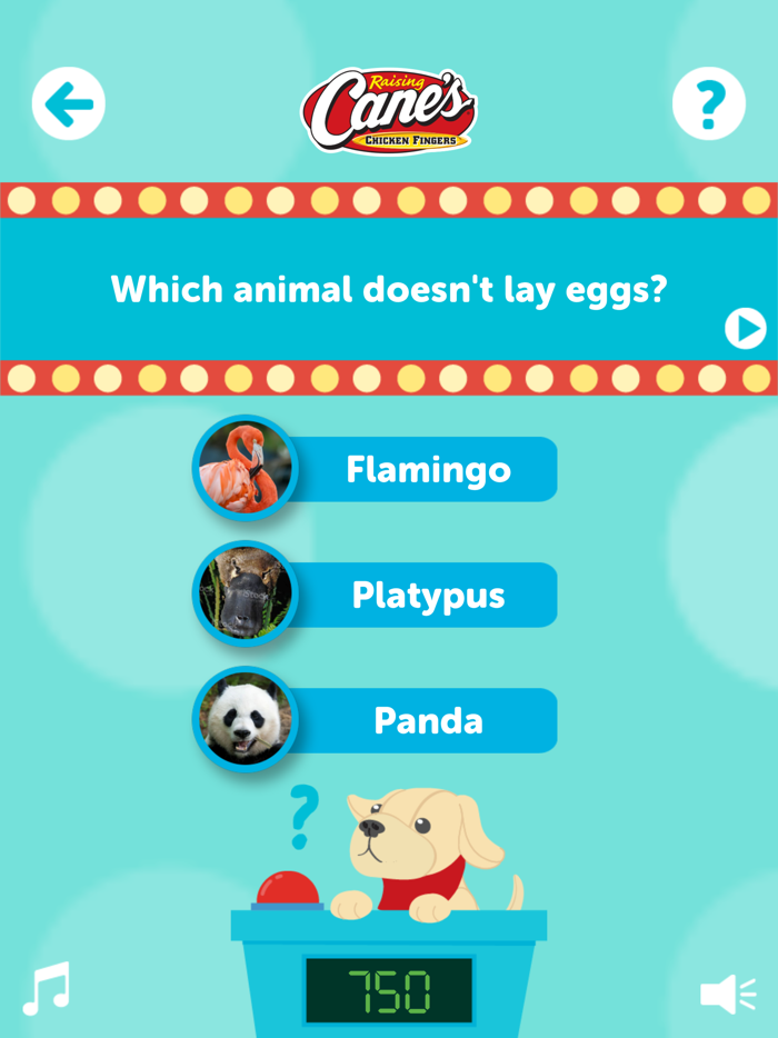 Raising Cane’s® Arcade