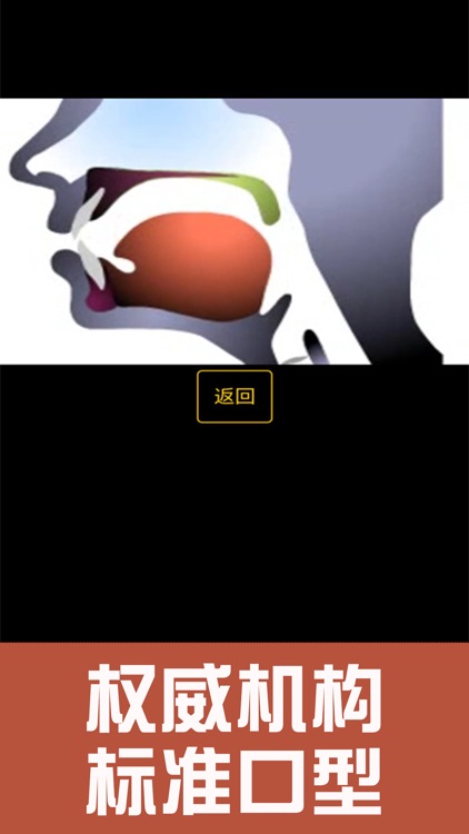 英语国际音标学习