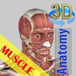 Download 3D Bones and Muscles (Anatomy) app