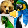 Animal Sounds Education Game