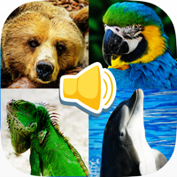 Animal Sounds Education Game