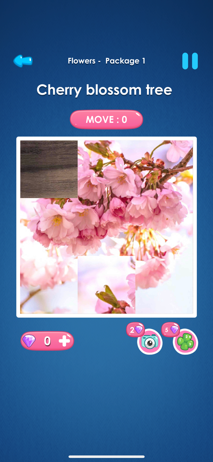 Slide Picture  Jigsaw Puzzle