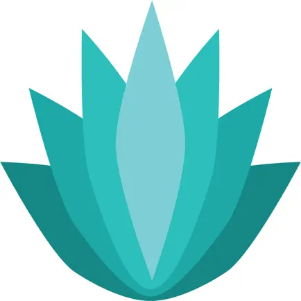 Tranquil Wellbeing Cheats