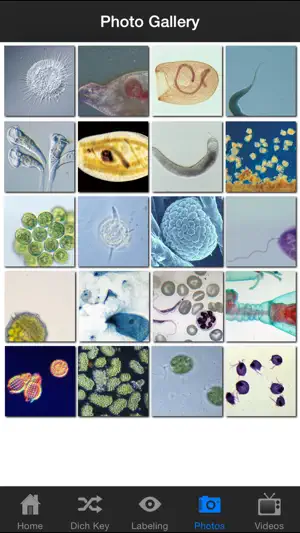 Protozoan Identification screenshot 4
