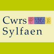 Cwrs Sylfaen