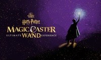 Magic Caster Wand TV Casting logo