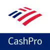 CashPro contact information