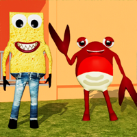 Sponge and Crab 3d Run Neighbors