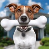 Pet Vet Hospital - Doctor Care icon