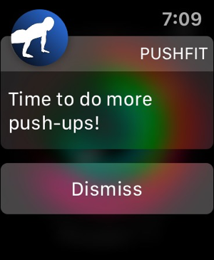 Snímek obrazovky aplikace PushFit Pro