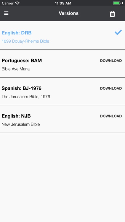 Catholic Bible Now screenshot-5