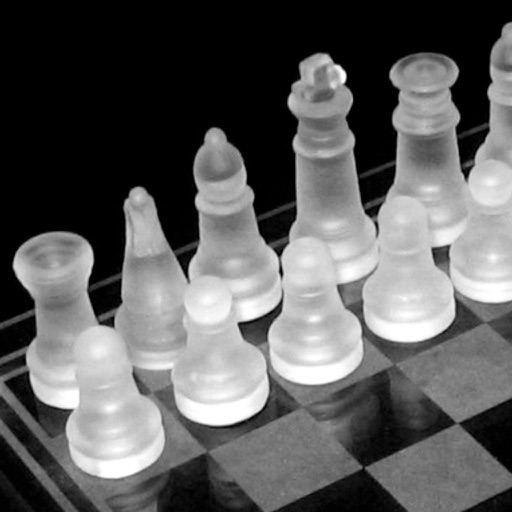 Chess - tChess Pro iOS App