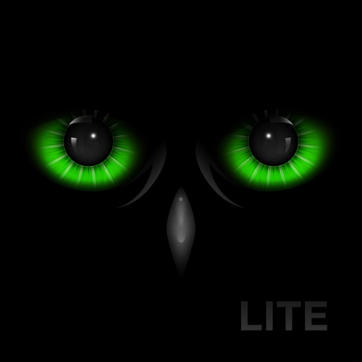 Ночное видение - Night Eyes LT
