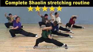 Shaolin Kung Fu Fundamentalのおすすめ画像3