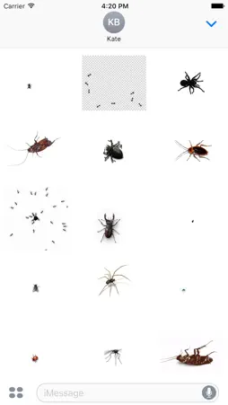 Animated Bugs screenshot 1