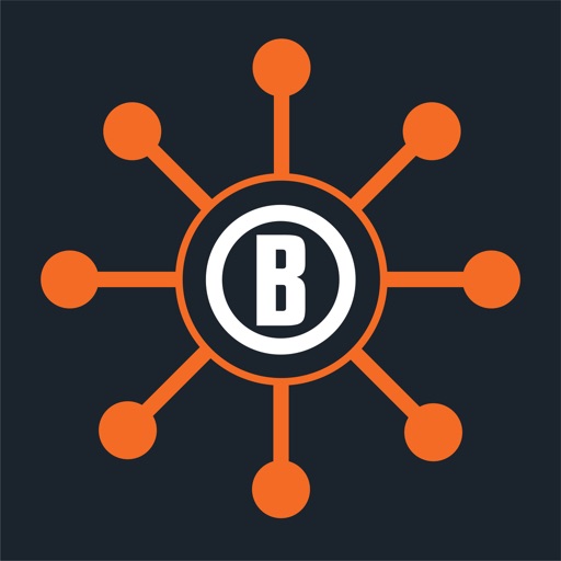 Bushnell Connect