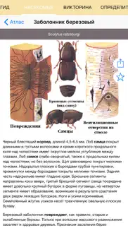 Экогид - Насекомые-вредители айфон картинки 2