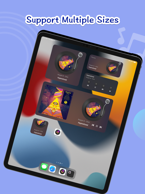 Vinyl Widget- Vinyl Record App